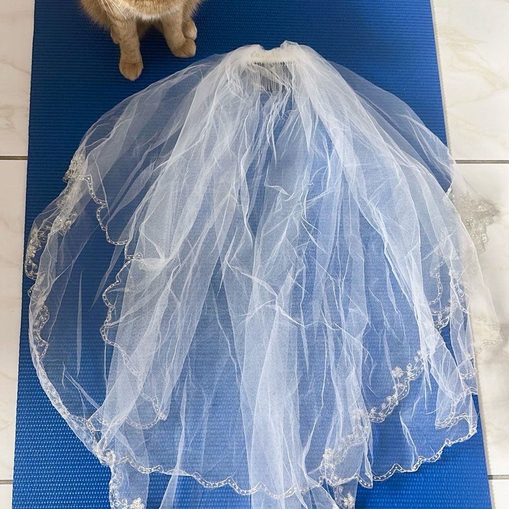 Elegant White Bridal Veil